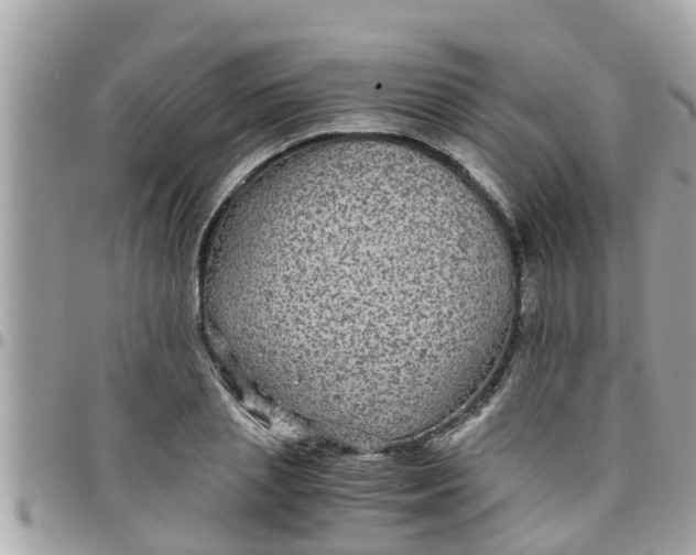 X0000097760837200803211712