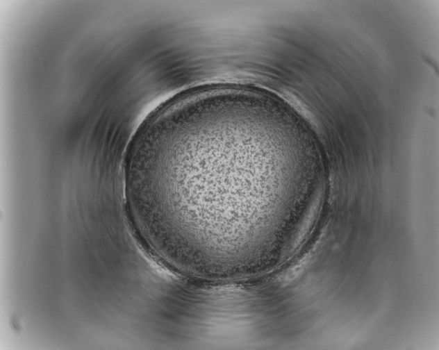 X0000097760838200803211712