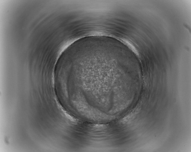 X0000097760839200803211712