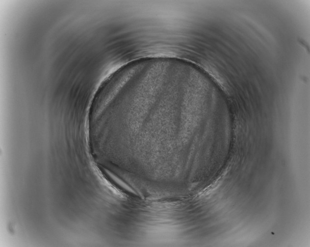 X0000097760840200803211712