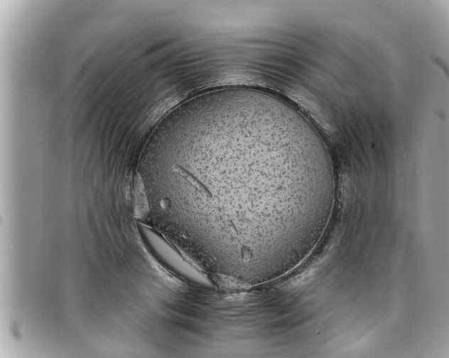 X0000097760841200803211712