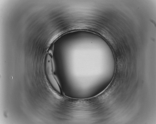 X0000097760842200803211712