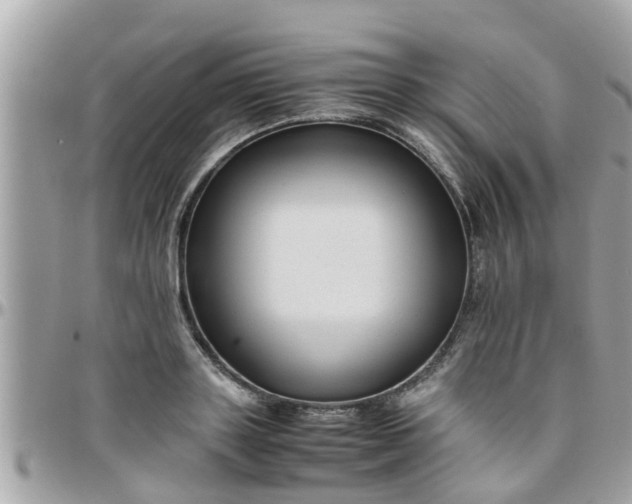 X0000097760843200803211712