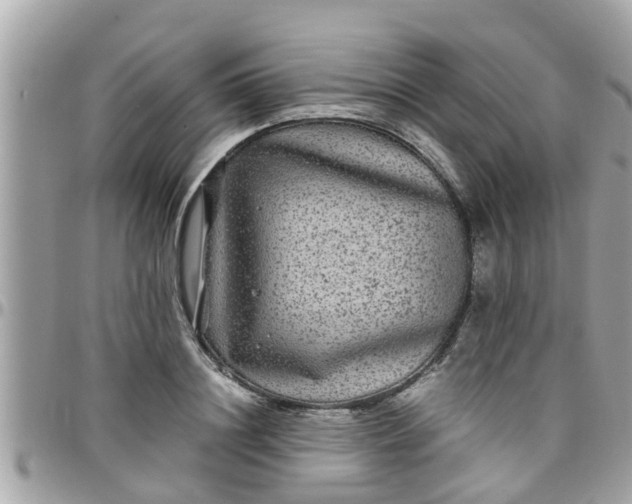 X0000097760844200803211712