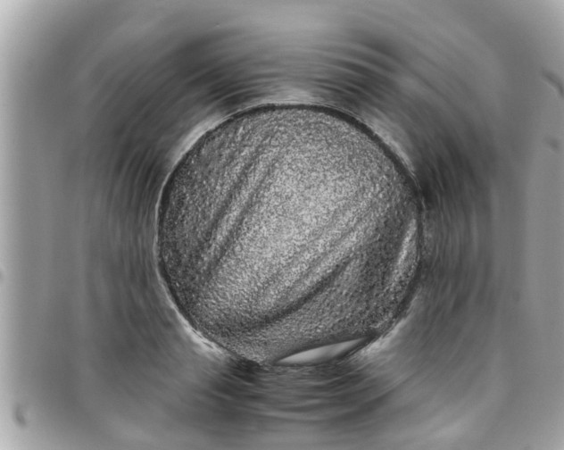 X0000097760845200803211712