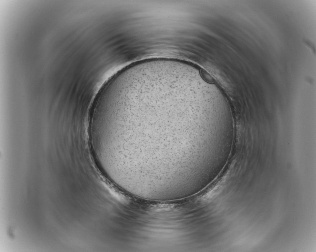 X0000097760846200803211712