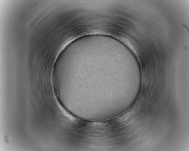 X0000097760847200803211712