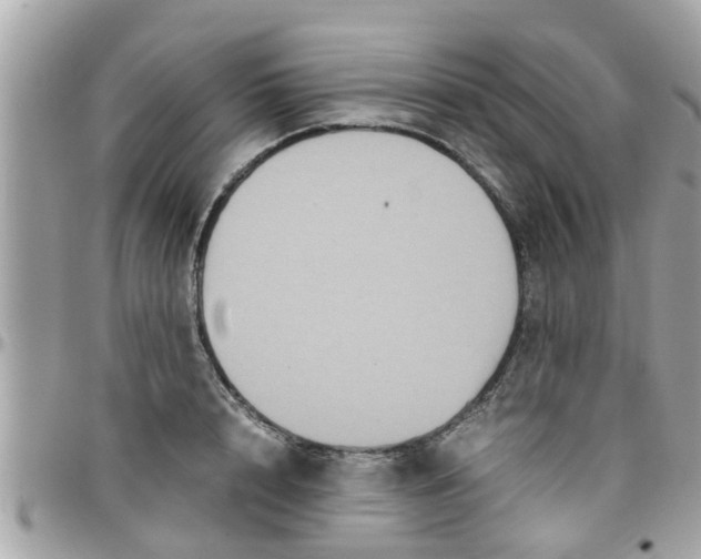 X0000097760848200803211712