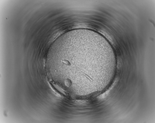 X0000097760849200803211712