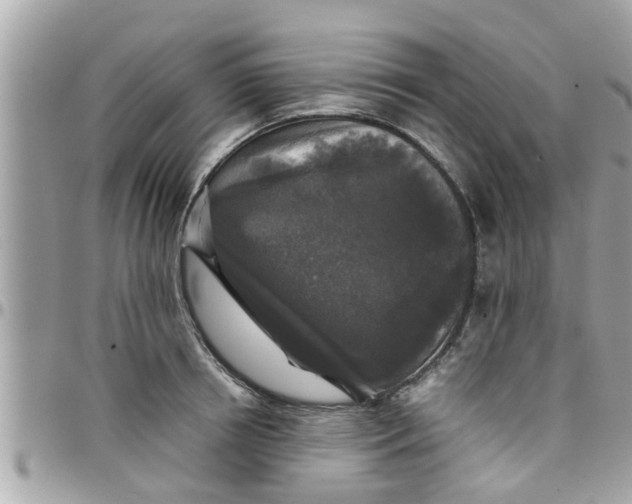 X0000097760850200803211712