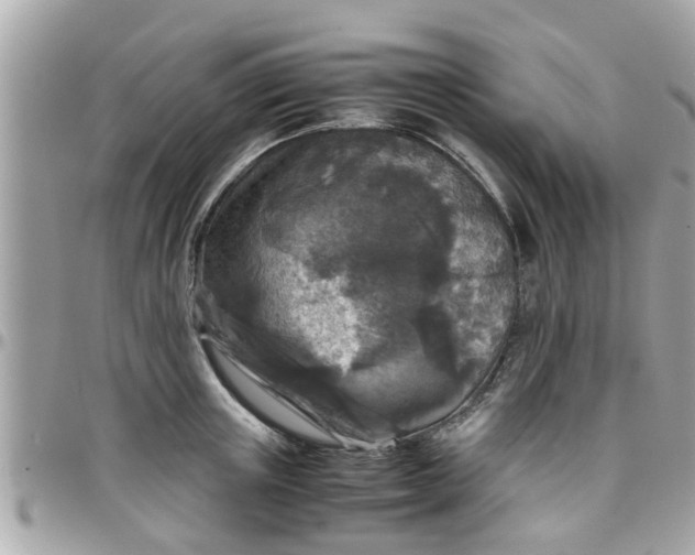 X0000097760851200803211712