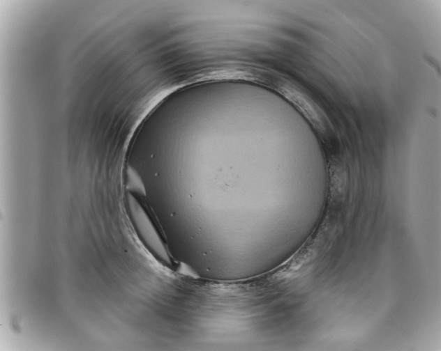 X0000097760852200803211712