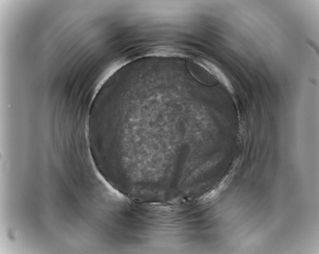 X0000097760855200803211712