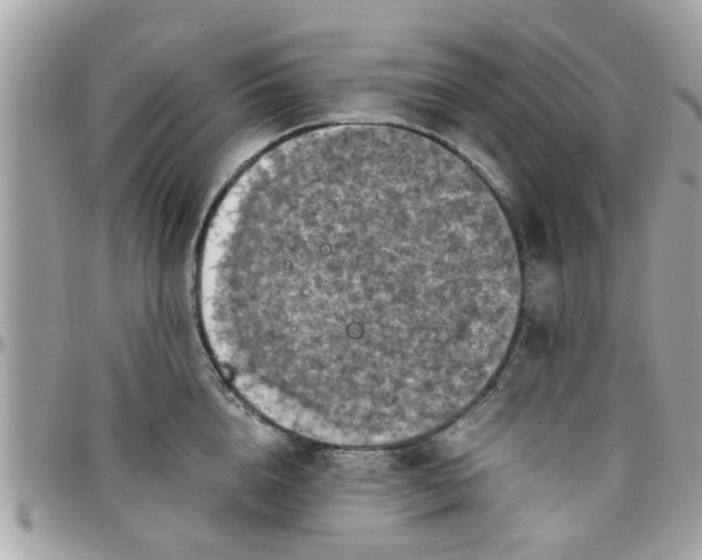 X0000097760856200803211712