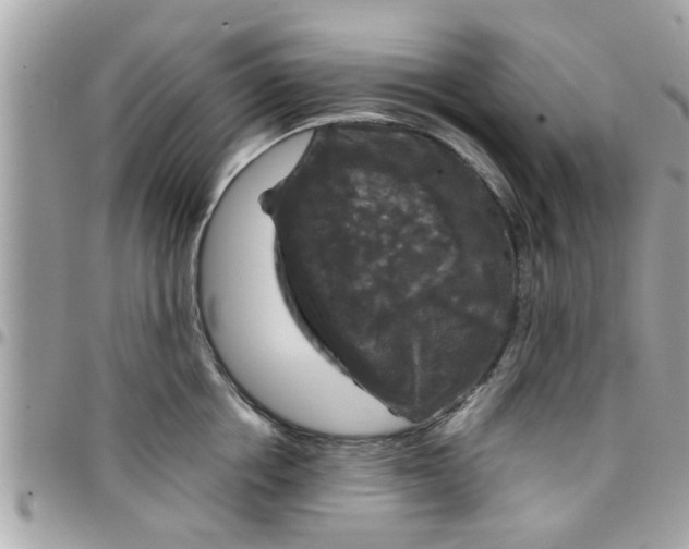 X0000097760858200803211712