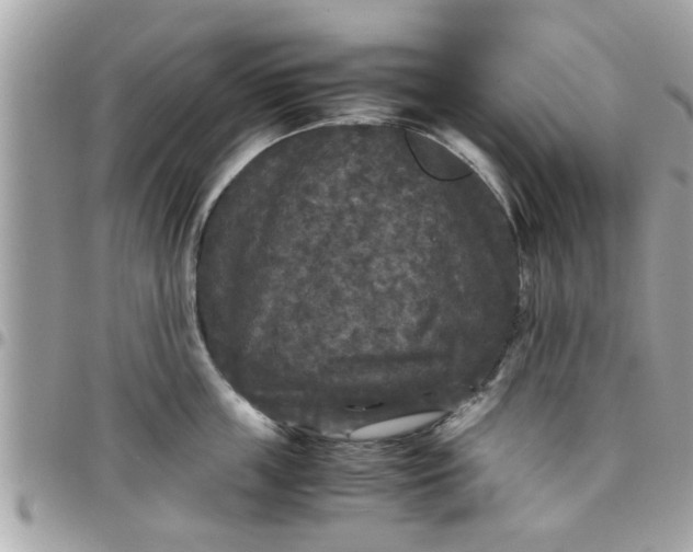 X0000097760859200803211712