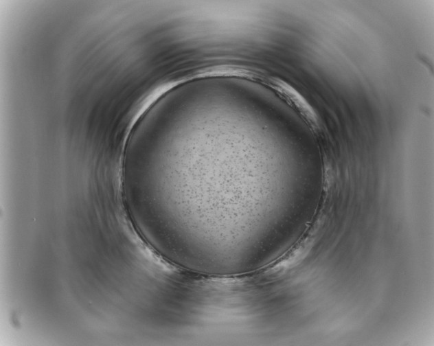 X0000097760860200803211712