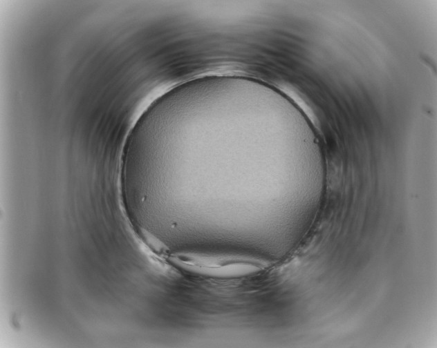 X0000097760861200803211712