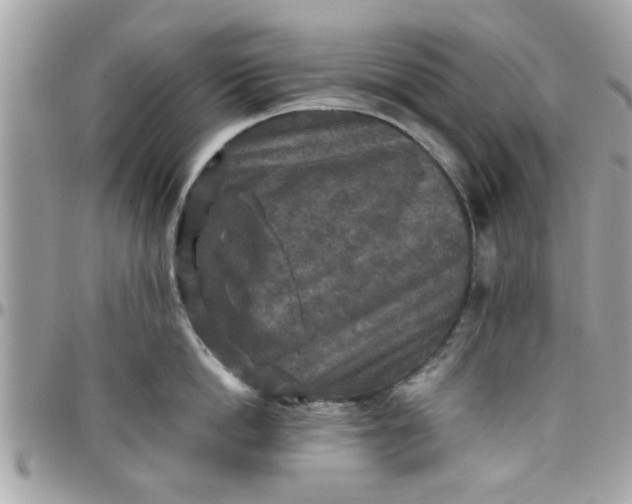 X0000097760862200803211712