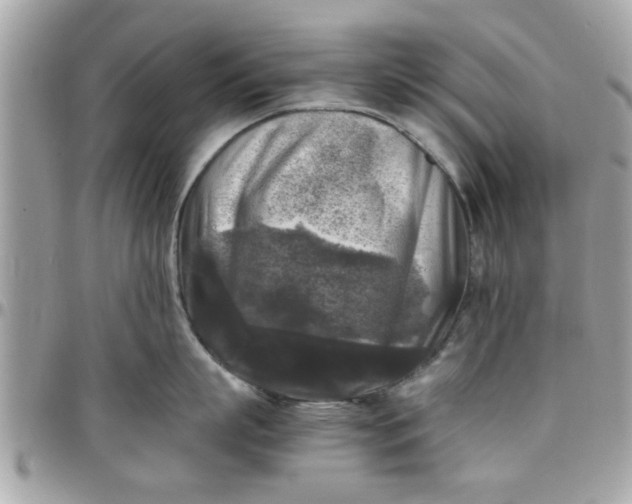 X0000097760863200803211712