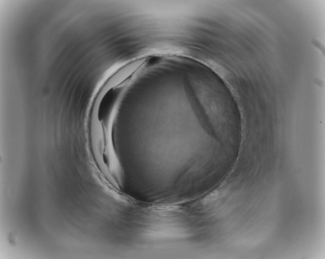 X0000097760864200803211713