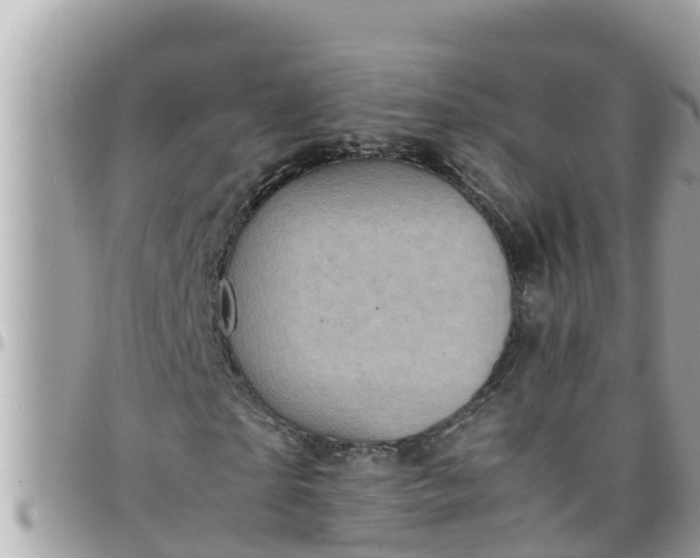 X0000097760865200803211712