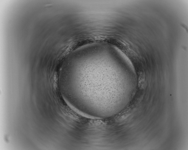 X0000097760866200803211712