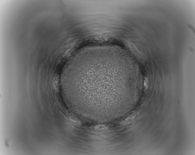 X0000097760867200803211712