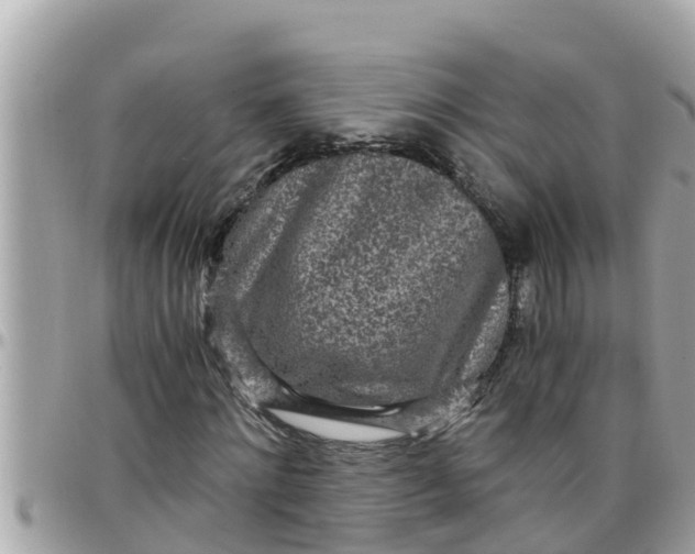 X0000097760868200803211712