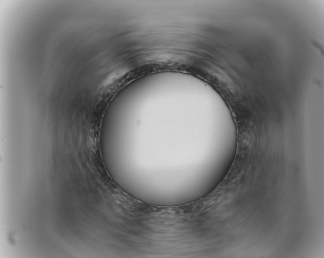 X0000097760869200803211712