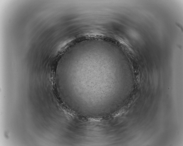 X0000097760870200803211712