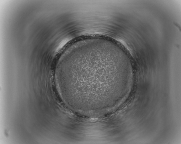 X0000097760871200803211712