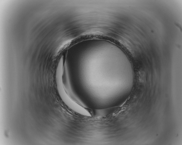 X0000097760872200803211712