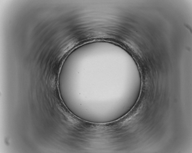 X0000097760873200803211712