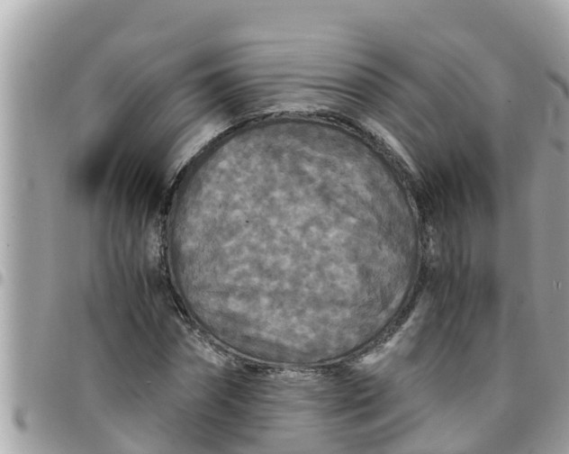 X0000097760874200803211712