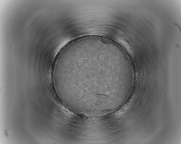 X0000097760875200803211712