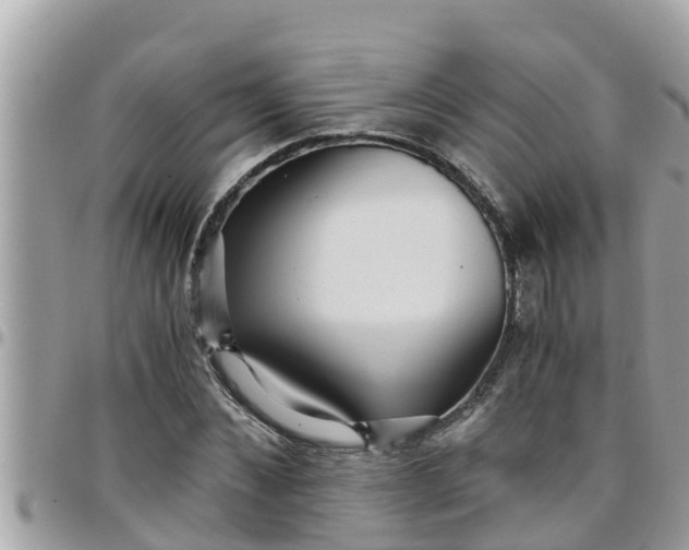 X0000097760876200803211712