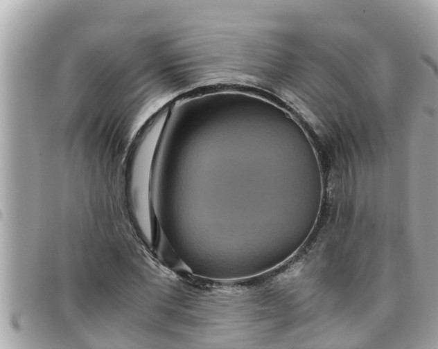 X0000097760877200803211712