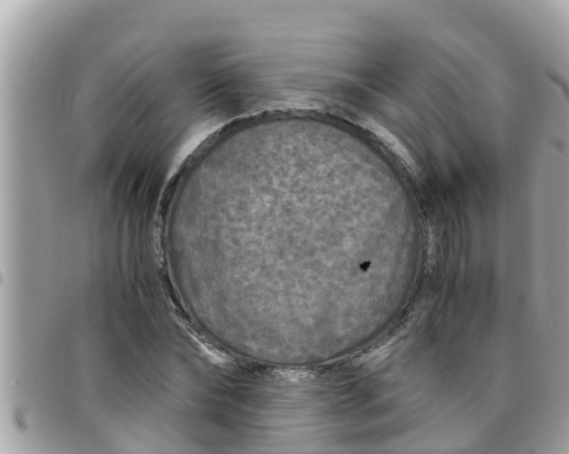 X0000097760878200803211712