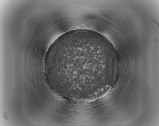 X0000097760879200803211712