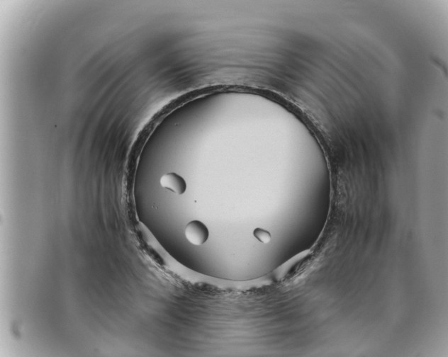 X0000097760880200803211712