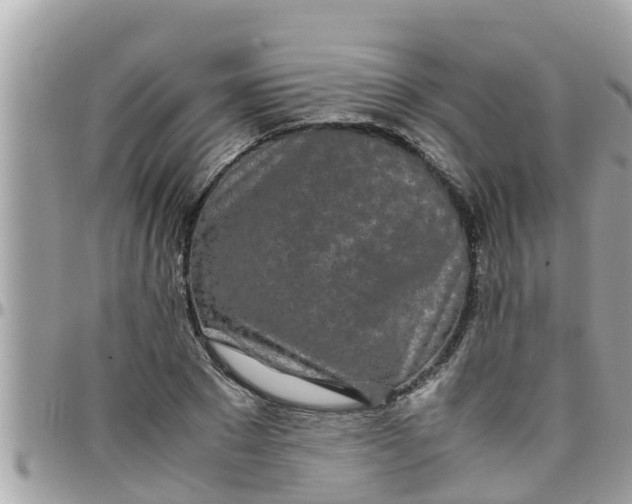 X0000097760881200803211712