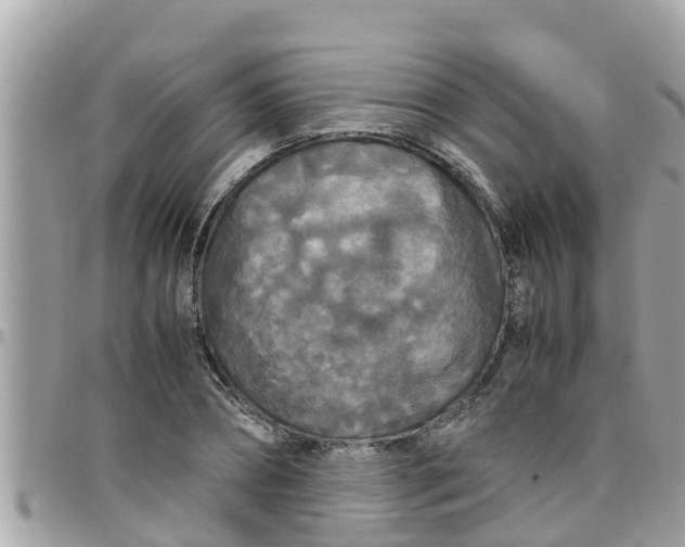 X0000097760882200803211712