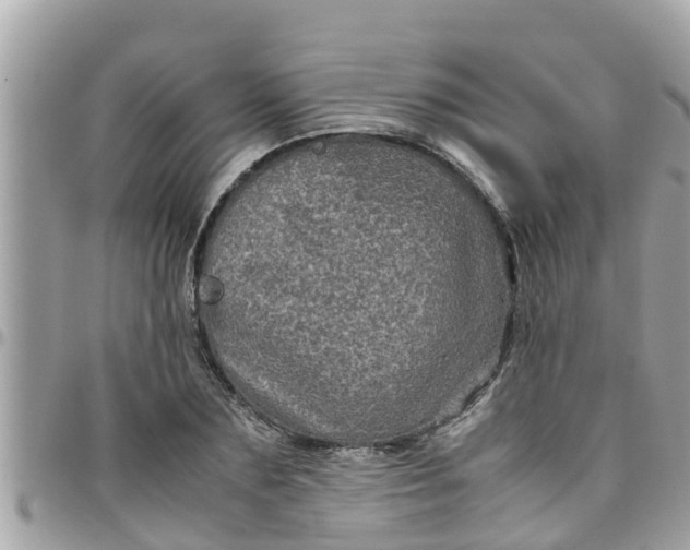 X0000097760883200803211712