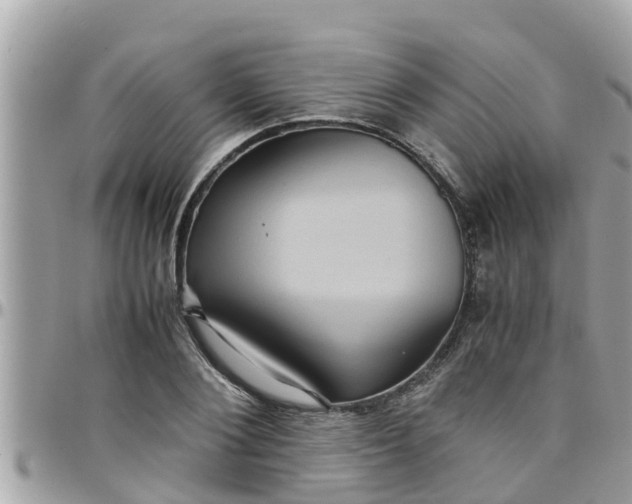 X0000097760884200803211712