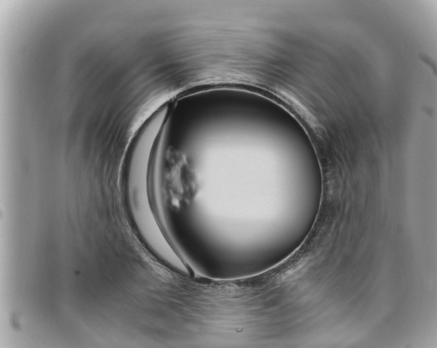 X0000097760885200803211712