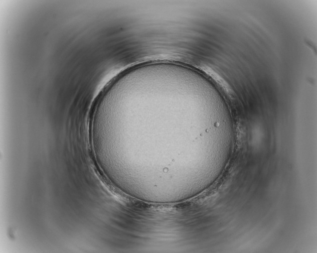 X0000097760886200803211712