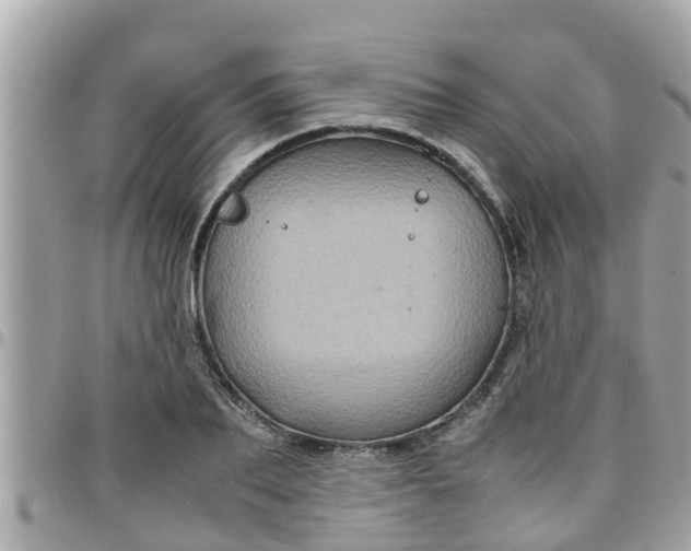 X0000097760887200803211712