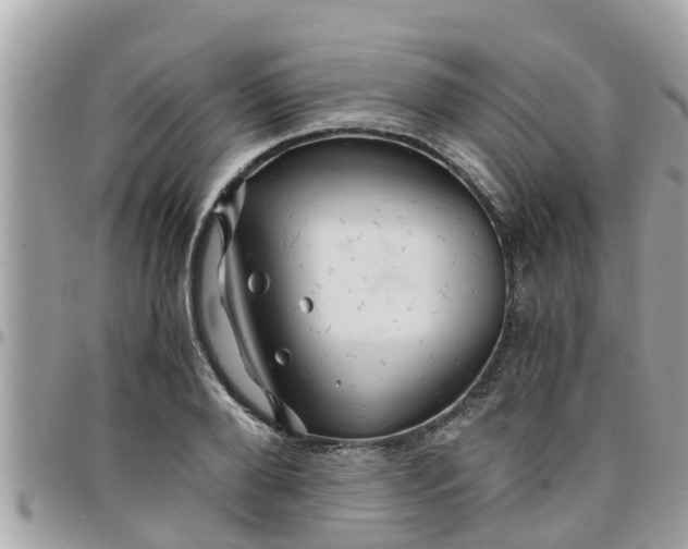 X0000097760888200803211712