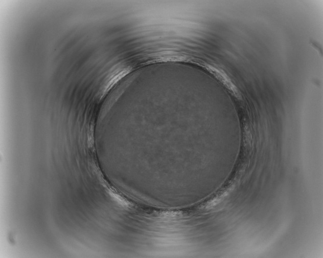 X0000097760889200803211712